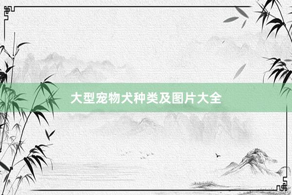 大型宠物犬种类及图片大全