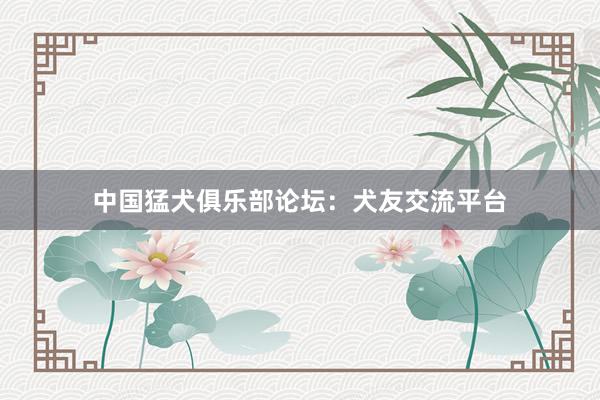 中国猛犬俱乐部论坛:犬友交流平台
