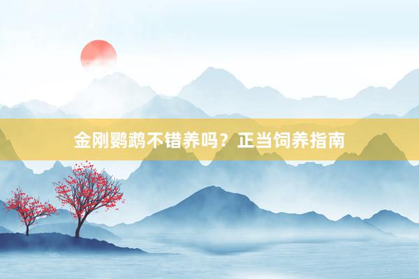 金刚鹦鹉不错养吗?正当饲养指南